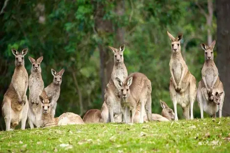 Property photo of 8/251 Eumarella Road Weyba Downs QLD 4562