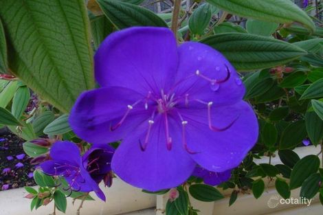 Property photo of 13 Lochaber Place Epping VIC 3076