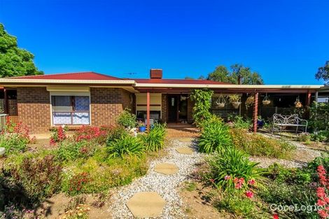 Property photo of 32 Falkenberg Road Nuriootpa SA 5355