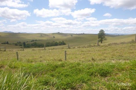 Property photo of 278 Landry Road Malanda QLD 4885