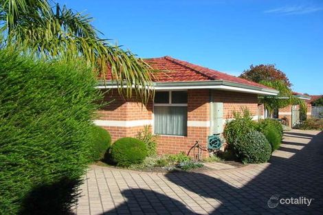 2/141 Tyler St, Tuart Hill, WA 6060