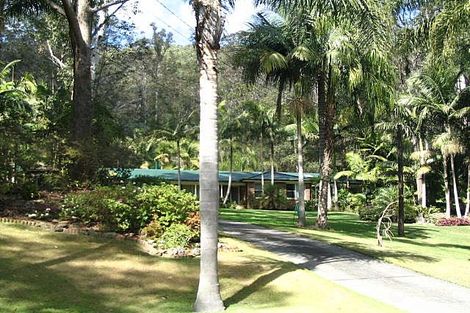 Property photo of 14 Riatta Street Erina NSW 2250