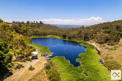 Property photo of 198 Through Road Tooperang SA 5255