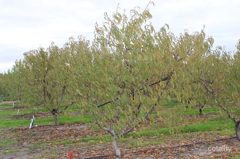 134 Prince Rd, Murrawee, VIC 3586