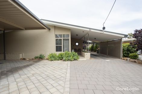 Property photo of 24 Harrison Street Risdon Park SA 5540