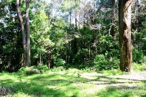 Property photo of 29 Cokeworks Road Coledale NSW 2515