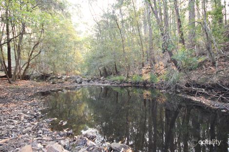 99 Blackbutt Rd, Herons Creek, NSW 2439