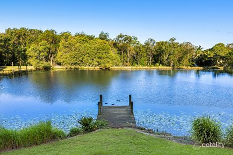 Property photo of 173 Country Crescent Nerang QLD 4211