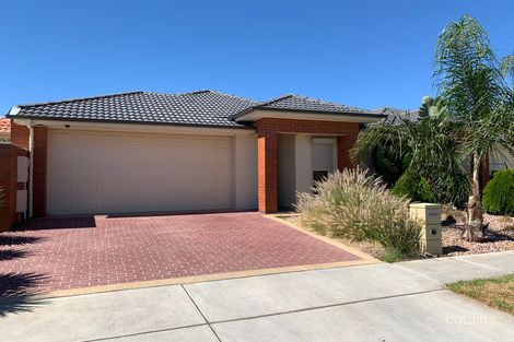 55 Nicholls Tce, Woodville West, SA 5011
