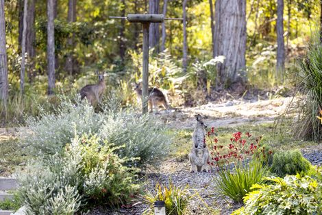Property photo of 15 Oyster Drive Valla NSW 2448