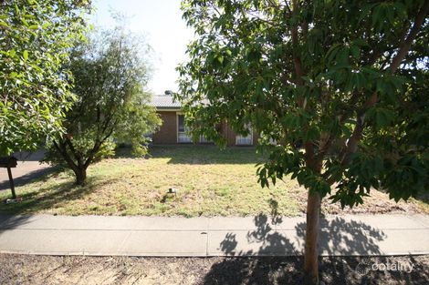 24 Mellor Ave, Lockleys, SA 5032