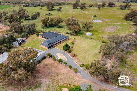 Property photo of 9 Paynters Siding Road Narrandera NSW 2700