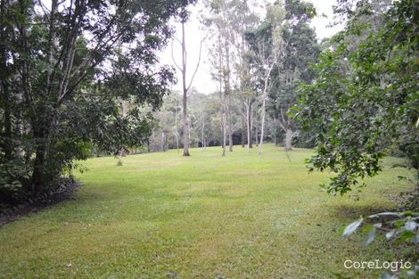 Property photo of 1644 Mossman-Mount Molloy Road Julatten QLD 4871
