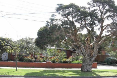 33 Oakes Ave, Clayton South, VIC 3169