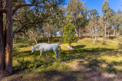 Property photo of 18 Kingfisher Drive Wingham NSW 2429