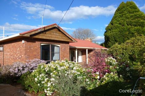 Property photo of 8 Ethel Street Scottsdale TAS 7260