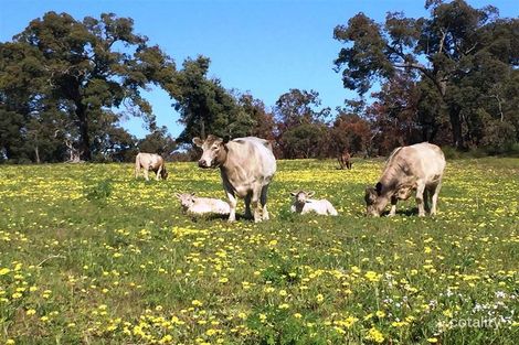 Property photo of 825 Teatree Road Bindoon WA 6502