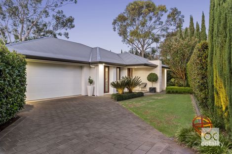 Property photo of 38 Nanthea Terrace North Unley Park SA 5061