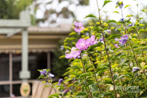 Property photo of 9/42 Barkly Street Mordialloc VIC 3195