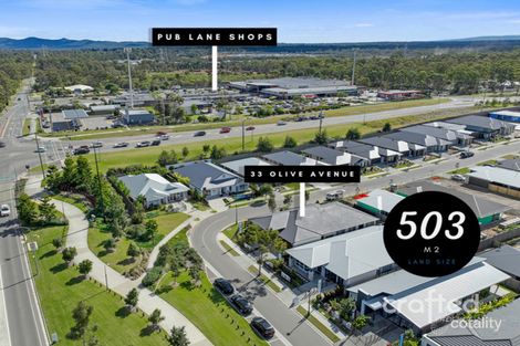 Property photo of 33 Olive Avenue Greenbank QLD 4124