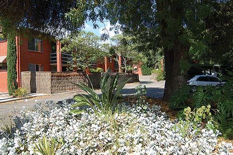 5/62 William St, Norwood, SA 5067