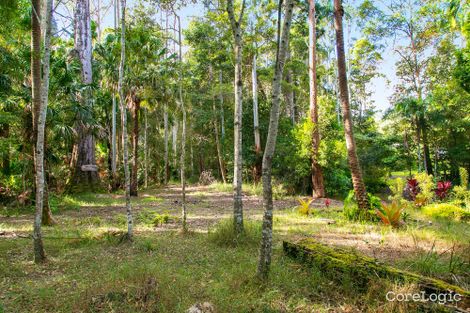 Property photo of 11 Vines Court Tinbeerwah QLD 4563