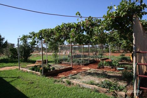 Property photo of 301 Lerida Road Cobar NSW 2835