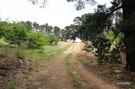 2 Leslie Rd, Lenswood, SA 5240