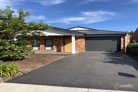 Property photo of 10 Albion Avenue Glandore SA 5037