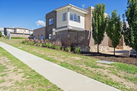 Property photo of 55/41 Philip Hodgins Street Wright ACT 2611