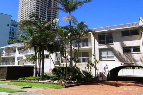 11/4 Fern St, Surfers Paradise, QLD 4217