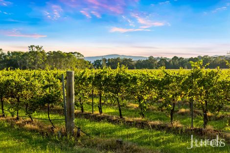 379 Wilderness Rd, Lovedale, NSW 2325