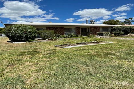 Property photo of 38 Jacaranda Drive Goondiwindi QLD 4390