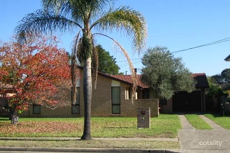 88 Rausch St, Toongabbie, NSW 2146