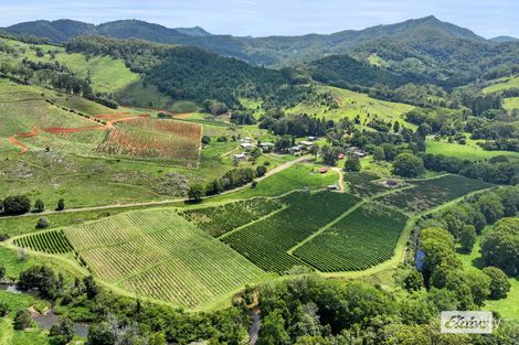 517 Upper Burringbar Rd, Upper Burringbar, NSW 2483