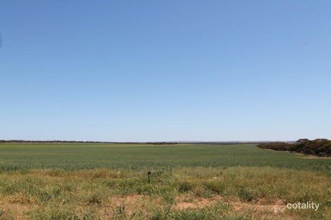Property photo of 4 Rangeview Road Darke Peak SA 5642