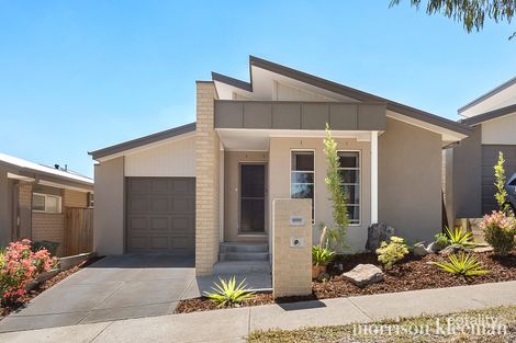 Property photo of 11 Besra Drive Doreen VIC 3754