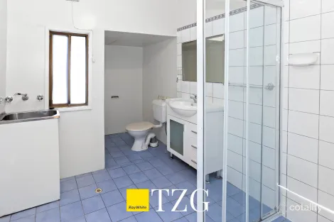 Property photo of 10 Railway Street Croydon NSW 2132
