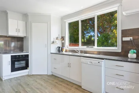 Property photo of 13 Ashwater Crescent Penguin TAS 7316