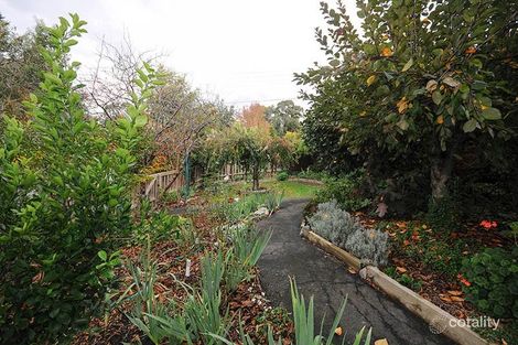 Property photo of 19 Sally Court Woori Yallock VIC 3139