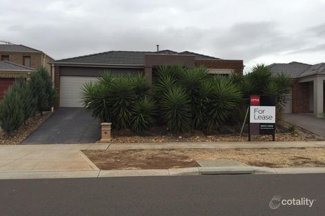 Property photo of 36 Hascombe Drive Caroline Springs VIC 3023