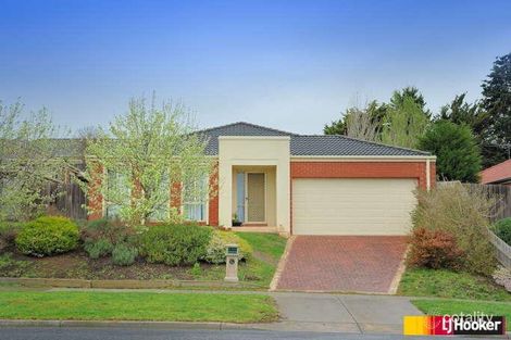 Property photo of 87A Bemersyde Drive Berwick VIC 3806