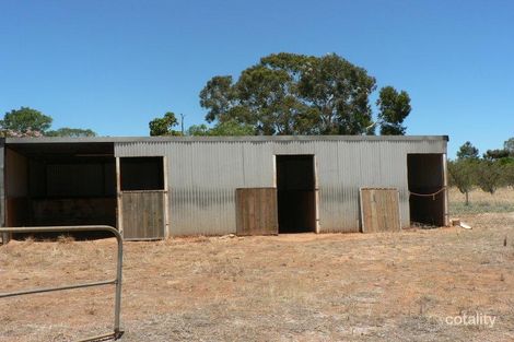 Property photo of 1 Devon Road Macdonald Park SA 5121