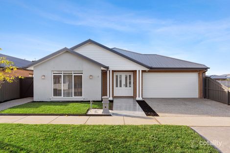 20 Felix St, St Leonards, VIC 3223