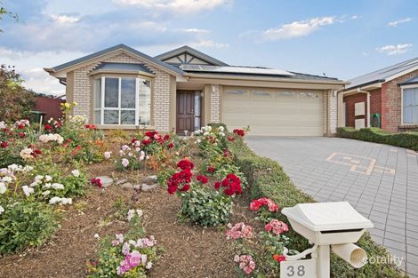38 Torquay Dr, Seaford Rise, SA 5169