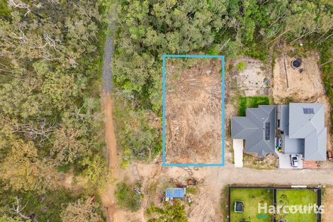 Property photo of 28 Fred Avery Drive Buttaba NSW 2283