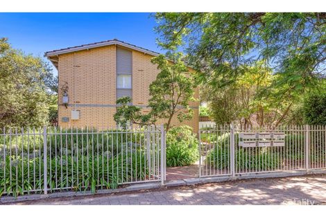 Property photo of 5/2 Davenport Terrace Wayville SA 5034