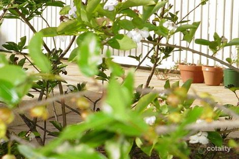 Property photo of 17 Marlock Street Bellbowrie QLD 4070