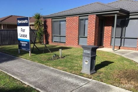 Property photo of 11 Date Palm Street Longwarry VIC 3816