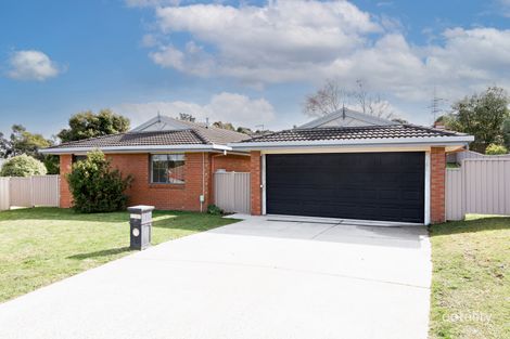 Property photo of 3 Bellbird Court Mount Helen VIC 3350